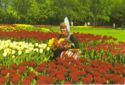 Holland in flowerdecoration