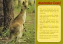 Australia Card
