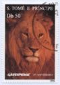 Lion (Panthera leo)