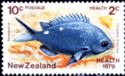 Health - New Zealand Demoiselle (Chromis dispilus) 10c + 2c