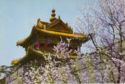 Peiling Tombs in Spring
