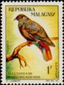 Madagascar Blue-pigeon (Alectroenas madagascariensis)