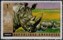 White Rhinoceros (Ceratotherium simum)