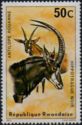 Southern Sable Antelope (Hippotragus niger)