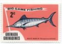 White Marlin (Tetrapterus albidus)