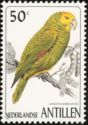 Yellow-shouldered Parrot (Amazona barbadensis)