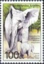 African Elephant (Loxodonta africana)