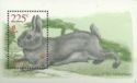 Domestic Rabbit (Oryctolagus cuniculus domesticus), Landscap