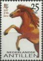 Horse (Equus ferus caballus) rearing