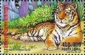 Tiger (Panthera tigris)
