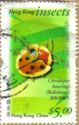 Red-cap Tortoise Beetle (Chiridopsis bowringi)