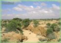Highlands of Somaliland outside of Hargeisa