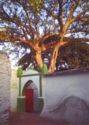 Harar. Sanctuary of Aw Abadir Umar ar-Rida