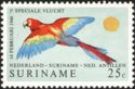 Scarlet Macaw (Ara macao)