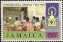 International Literacy Year