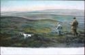 1409 Grouse Shooting: On the Moors