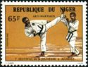 7th Youth Festival in Agadez - Martial Arts