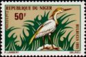 Cattle Egret (Bubulcus ibis)