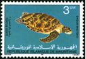 Green Sea Turtle (Chelonia mydas)