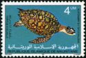 Hawksbill Turtle (Eretmochelys imbricata)